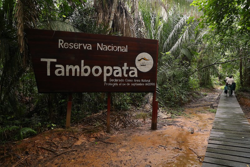 Tambopata Peru - Tambopata National Reserve Peru