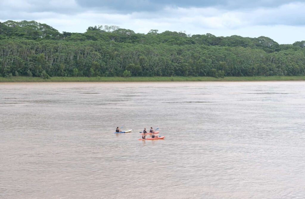 Many tourists kayak through the Tambopata River's waters.