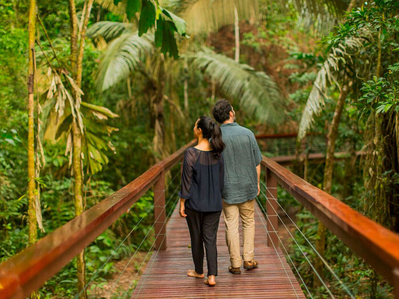 Tambopata-Research-Center-Lodge-2018-10