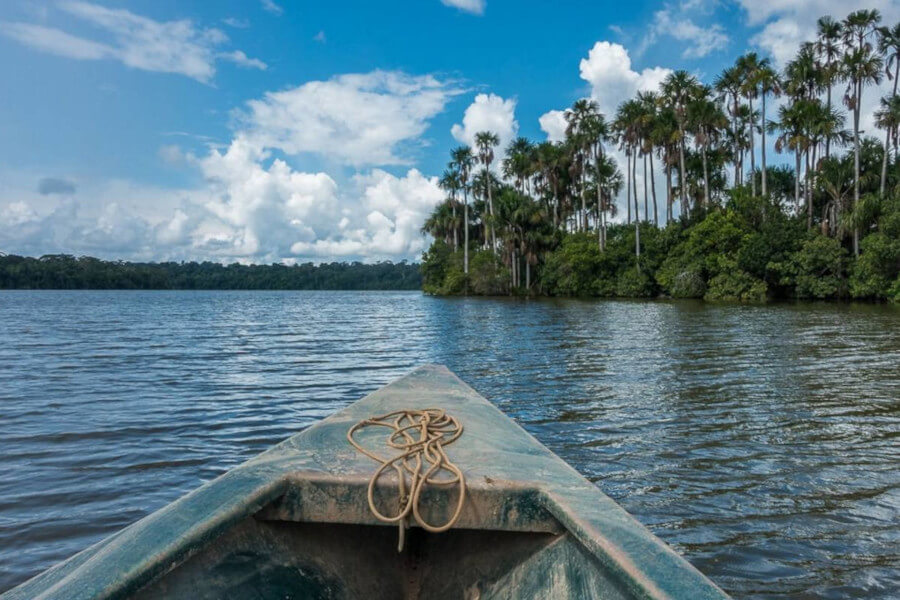 tambopata2