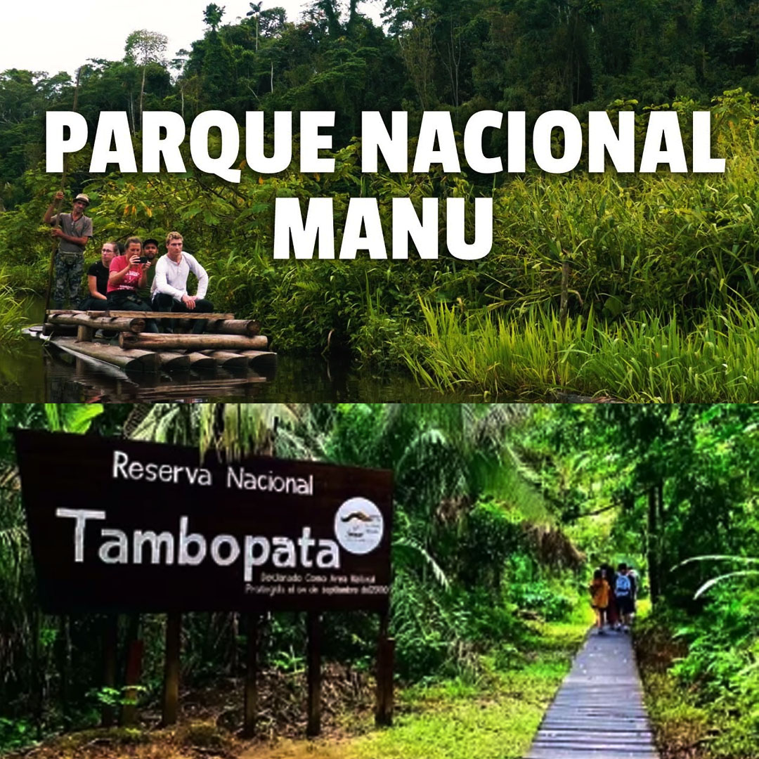 manu tambopata peru amazon trips jungle trip