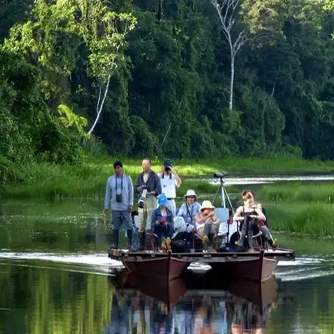 peru amazon trip manu jungle trips