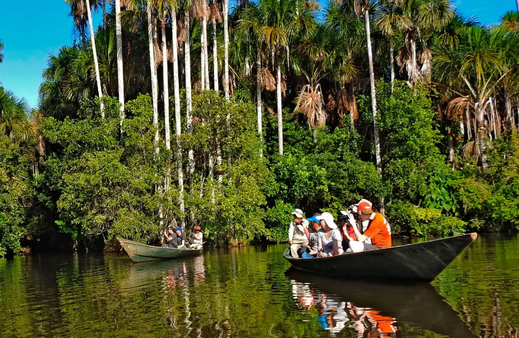 tambopata-chuncho-clay-lick-sandoval-lake-08