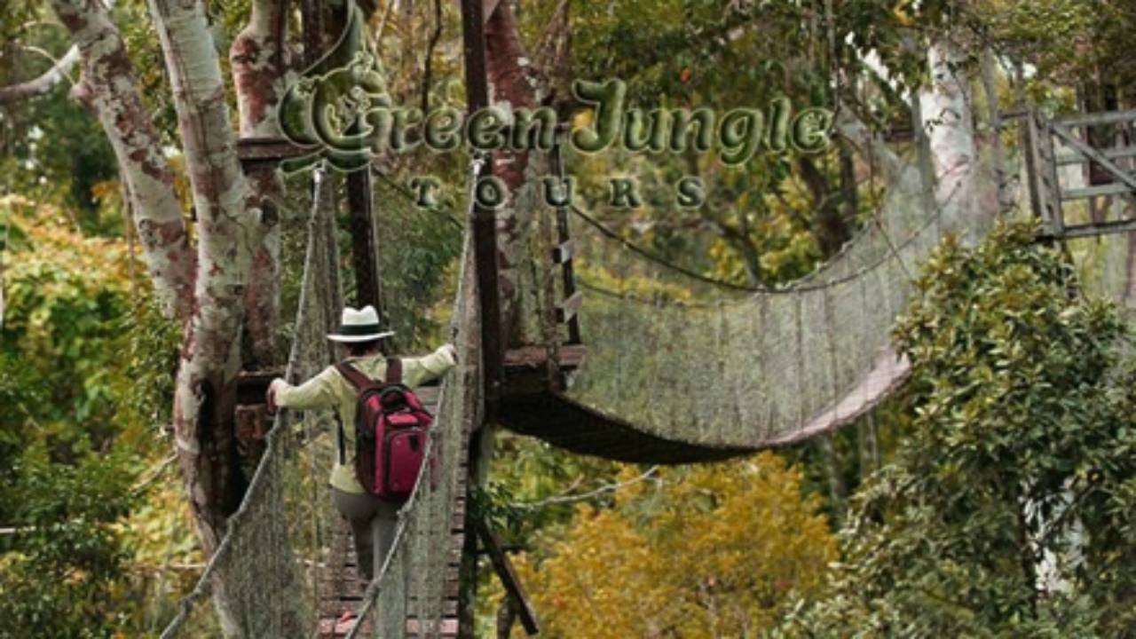 5-Day Tambopata Tour: Chuncho Macaw Clay Lick, Sandoval & Yacumama Lake